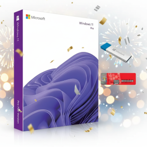 Windows 11 Professional - Pen Drive