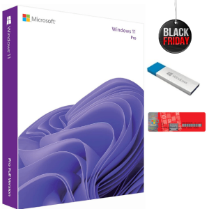 Windows 11 Professional - Pen Drive