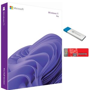 Windows 11 Professional - Pen Drive